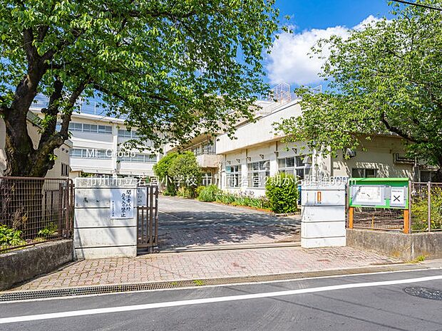 市川市立若宮小学校（約600m）