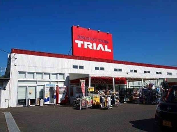 ディスカウントストアトライアルあすみが丘店（約700m）