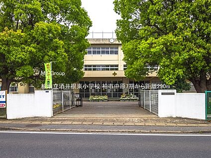 柏市立酒井根東小学校 290m