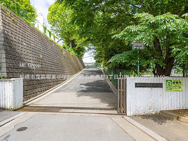 船橋市立高根東小学校（約1,150m・徒歩15分）