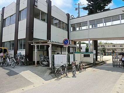 松戸市立小金小学校 1300m(17分)