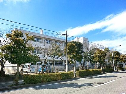 浦安市立見明川小学校 400m(5分)