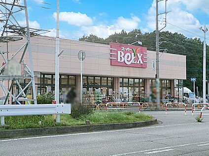 ベルクス柏つくしが丘店 750m