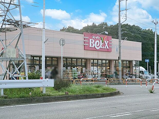 ベルクス柏つくしが丘店(約750m)