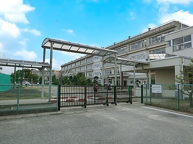 柏市立柏第三中学校(約1,000m)