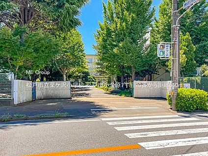 松戸市立栗ケ沢小学校 550m(7分)