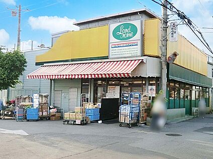 ランドロームフードマーケット三咲店 700m(9分)