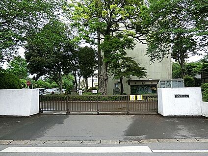 佐倉市立佐倉小学校 1300m(17分)