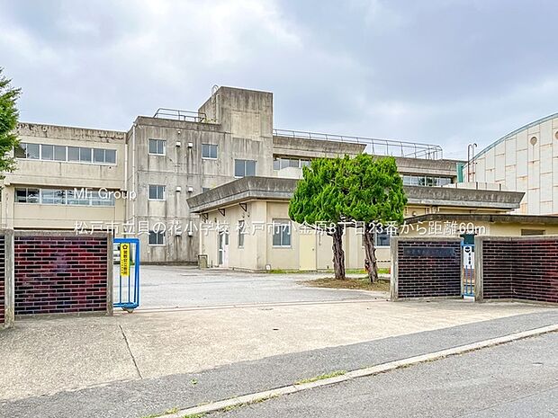 松戸市立貝の花小学校(約60m)