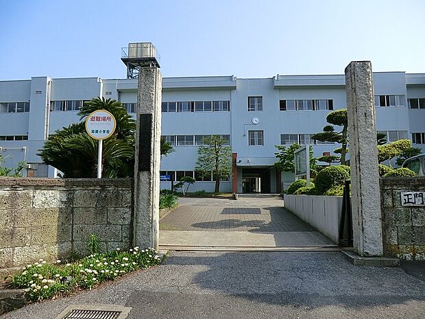 市原市立姉崎小学校(約515m)