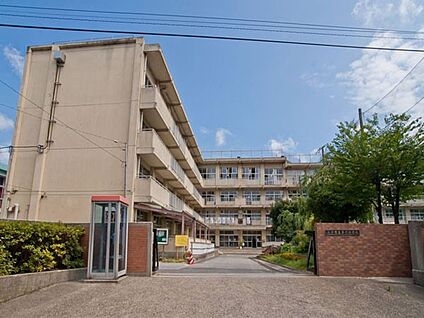 松戸市立第六中学校 1007m(13分)