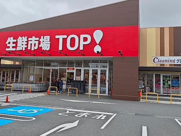 生鮮市場TOP! 松戸古ヶ崎店(約1,200m)