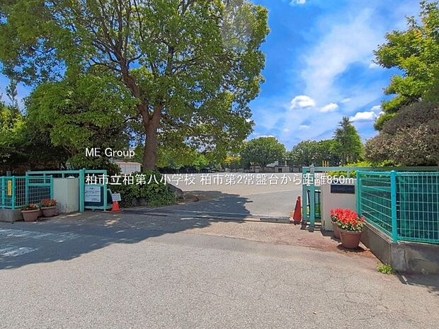 柏市立柏第八小学校（約850m）