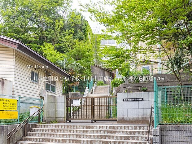 市川市立国府台小学校(約870m・徒歩11分)