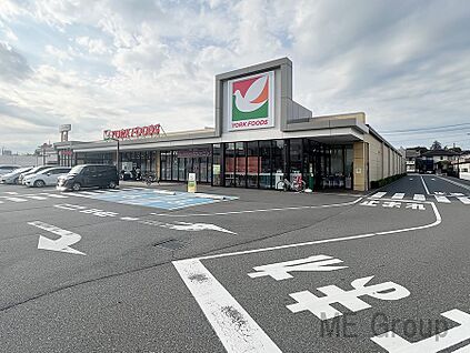 ヨークフーズ都町店 700m(9分)