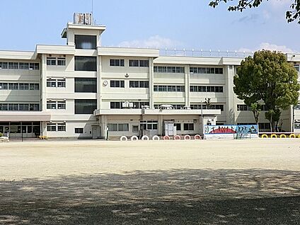 我孫子市立湖北台東小学校 505m