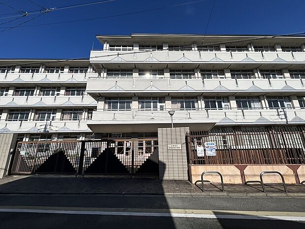 京都市立伏見南浜小学校（約320m）