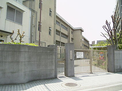 八尾市立八尾小学校 600ｍ(徒歩9分)