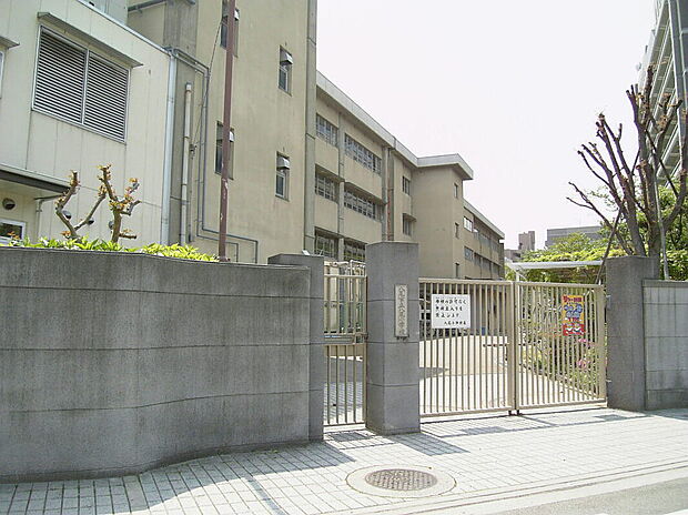 八尾市立八尾小学校（約600m）