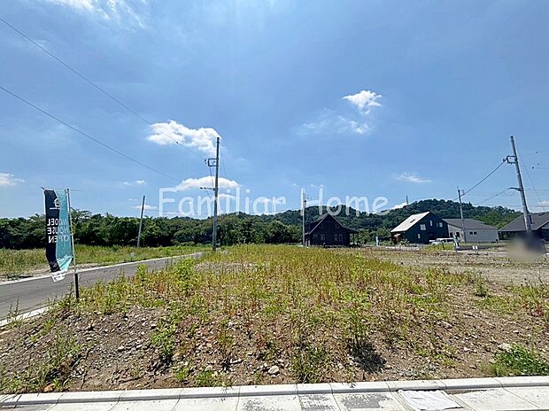 2026年7月撮影