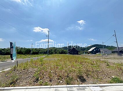 2026年7月撮影