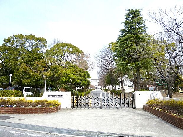 刈谷市立かりがね小学校(約550m)
