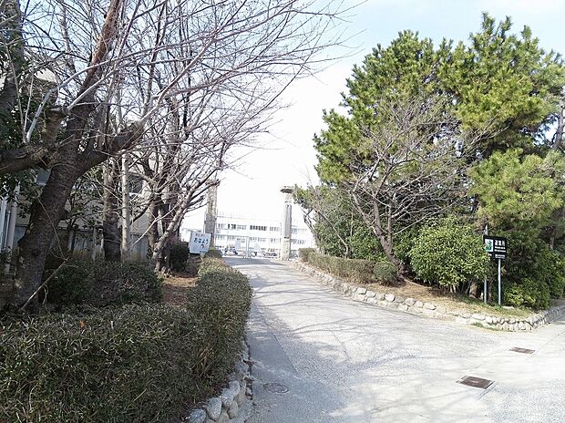 碧南市立棚尾小学校（約570m）