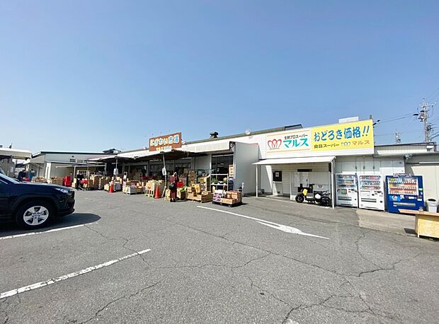 にぎわい市場マルス 西尾店(約248m)