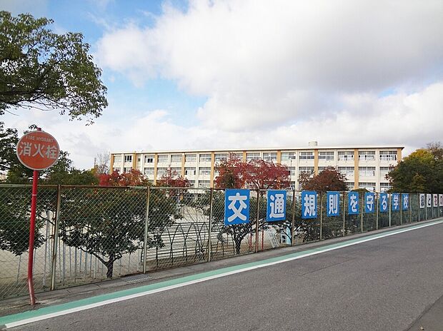 豊田市立若林西小学校(約1,100m)