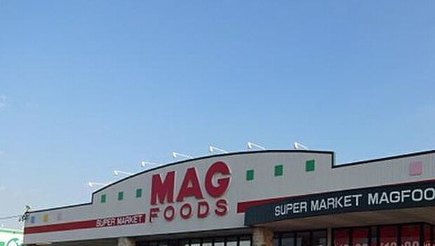 マグフーズ 中島店(約780m)