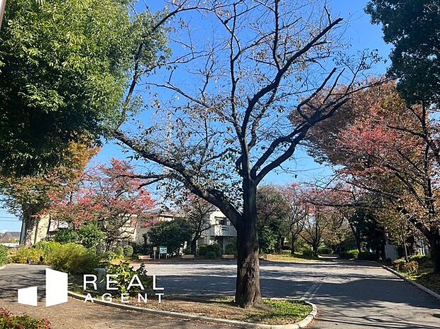 新田緑道(約790m)