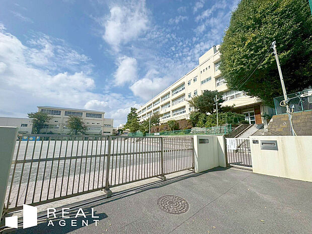 横浜市立新田小学校（約750m）