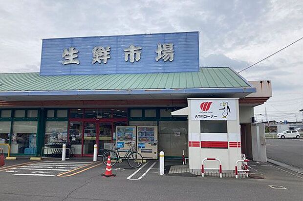 マルナカ檀紙店 約250m