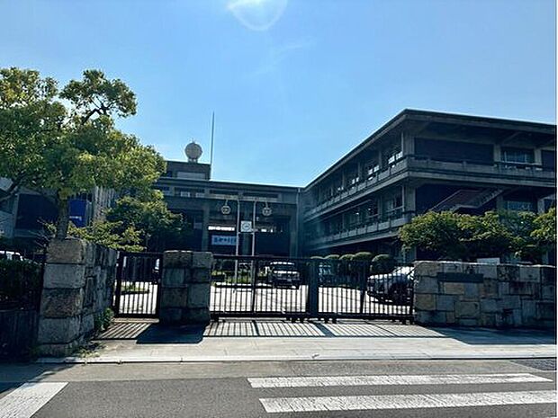 丸亀市立城南小学校(約1,162m)