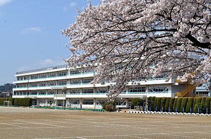飯能市立富士見小学校 約1040ｍ(徒歩13分)