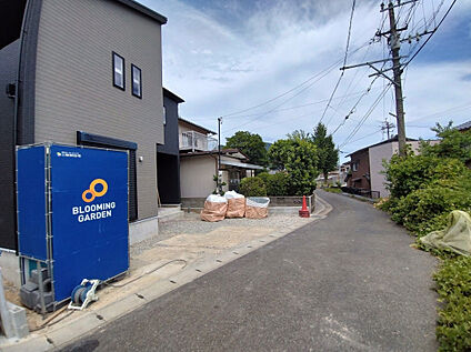 8月8日撮影