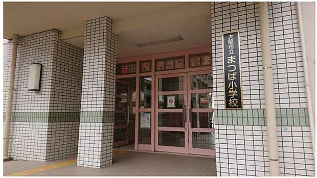 まつば小学校(約400m)