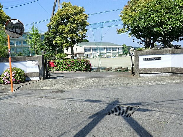 平塚市立金旭中学校（約1,900m・徒歩24分）