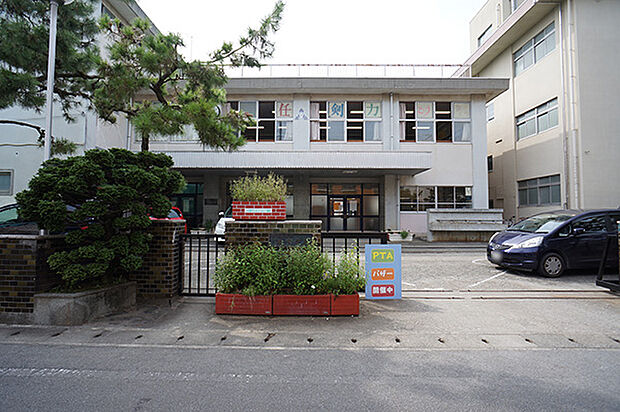 小田原市立泉中学校(約200m・徒歩3分)