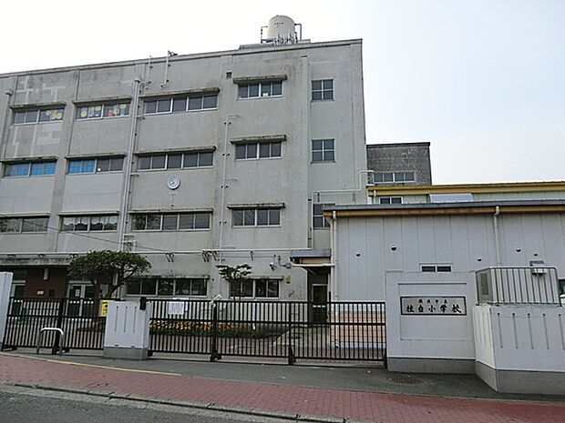横浜市立桂台小学校（約900m・徒歩12分）