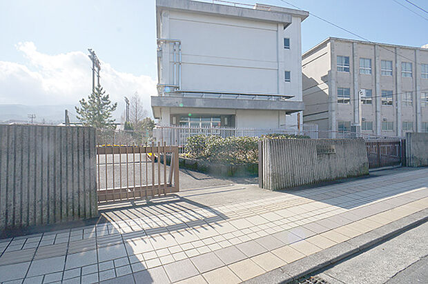 南足柄市立南足柄中学校（約1,100m・徒歩14分）