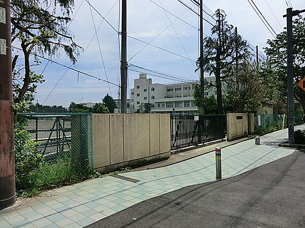 大和市立引地台中学校（約700m・徒歩9分）