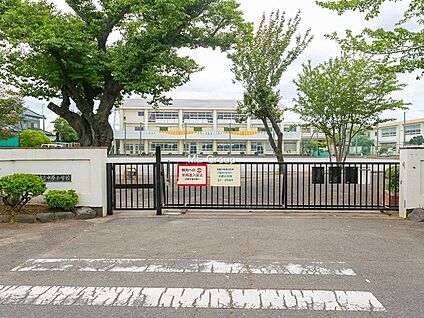 平塚市立中原小学校 1100m(14分)