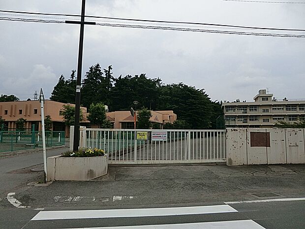 相模原市立大野台小学校(約350m・徒歩5分)