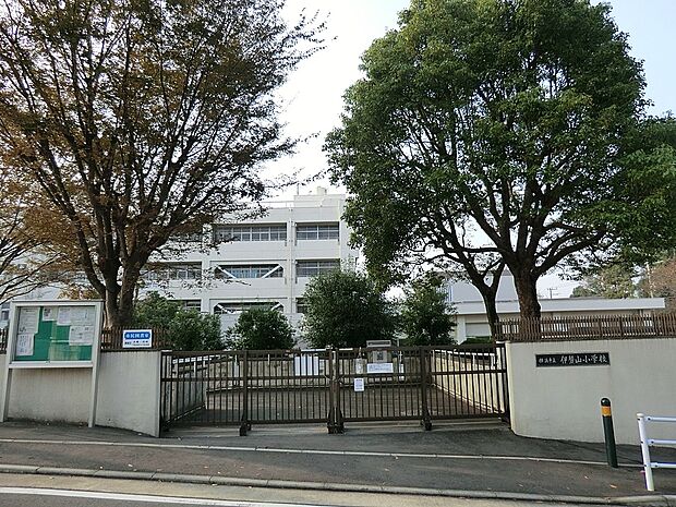 横浜市立伊勢山小学校(約200m・徒歩3分)