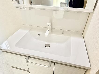 ハンドシャワー付洗面台