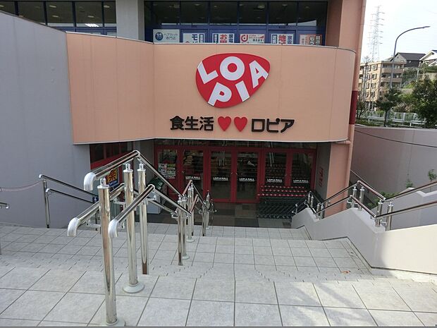 ロピア 港北東急ＳＣ店（約1,700m・徒歩22分）
