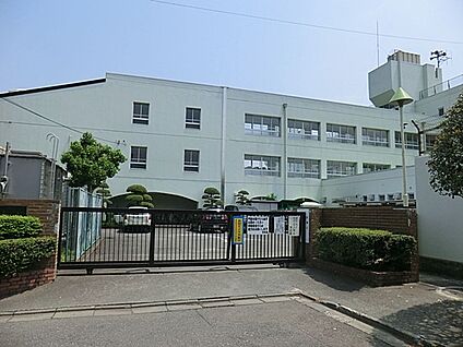 小金井市立南中学校 900m(12分)