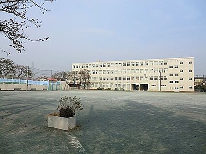 横浜市立葛野小学校 400m(5分)