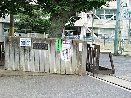 横須賀市立山崎小学校 300m(4分)